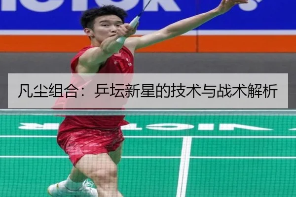 凡尘组合：乒坛新星的技术与战术解析